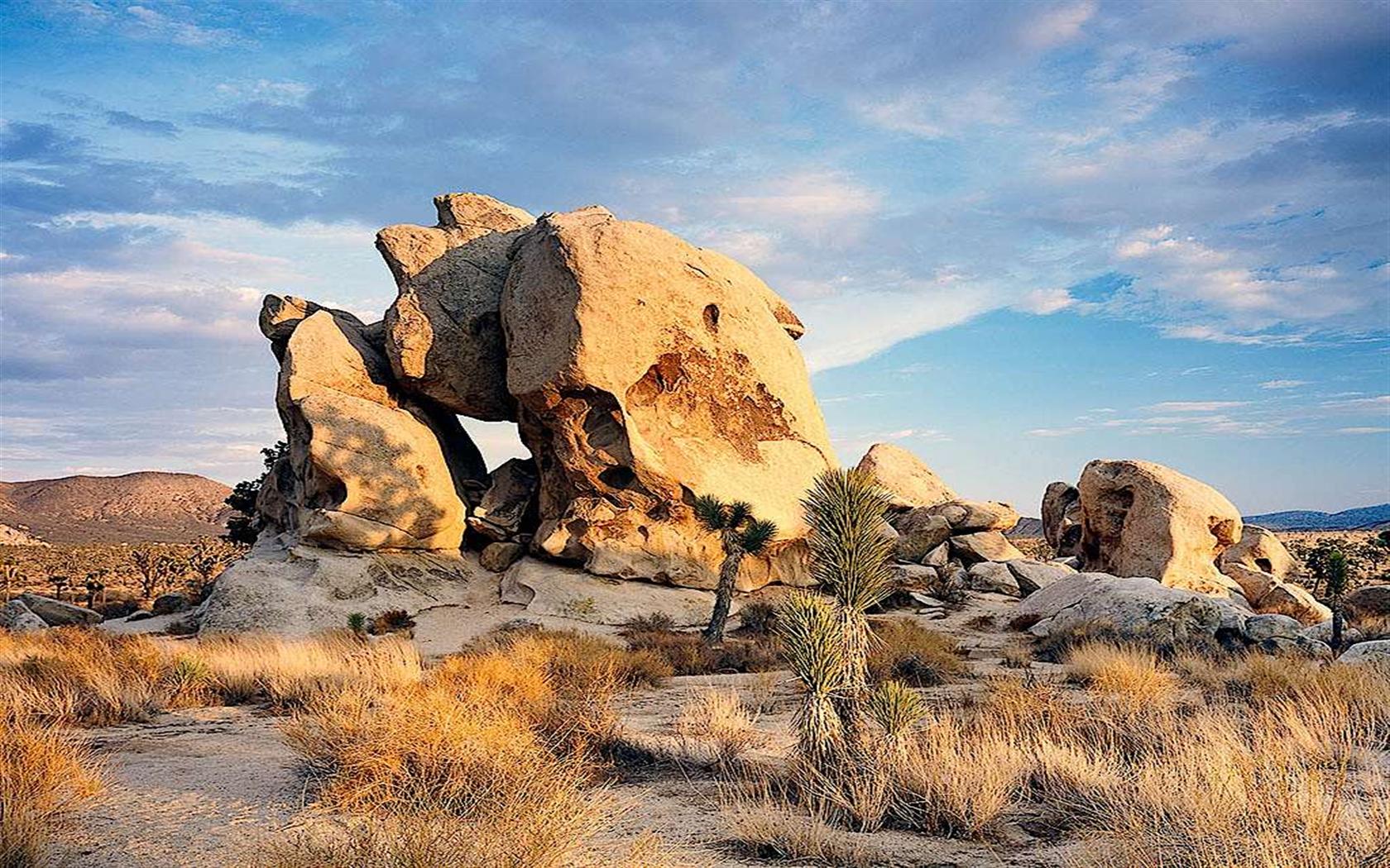 Jackalope ~ Joshua Desert Retreats